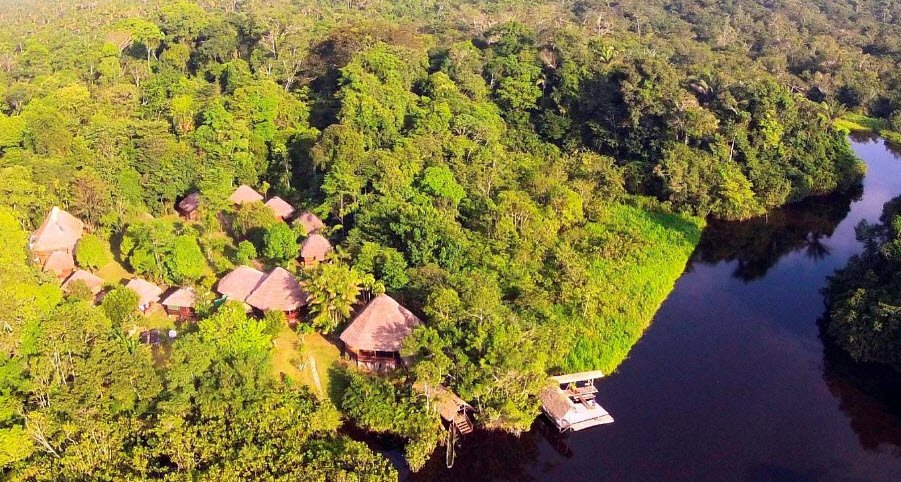 Yasuni National Park, Orellana Province, Ecuador